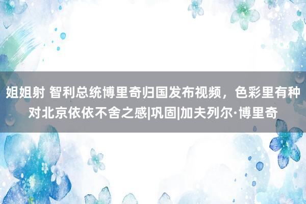 姐姐射 智利总统博里奇归国发布视频,色彩里有种对北京依依不舍之感|巩固|加夫列尔·博里奇