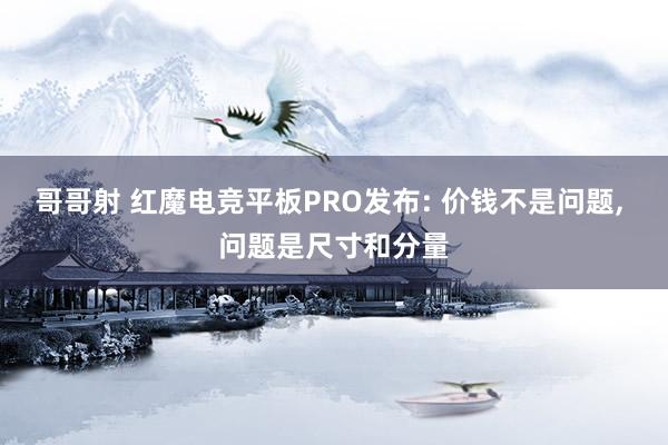 哥哥射 红魔电竞平板PRO发布: 价钱不是问题， 问题是尺寸和分量