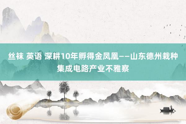 丝袜 英语 深耕10年孵得金凤凰——山东德州栽种集成电路产业不雅察