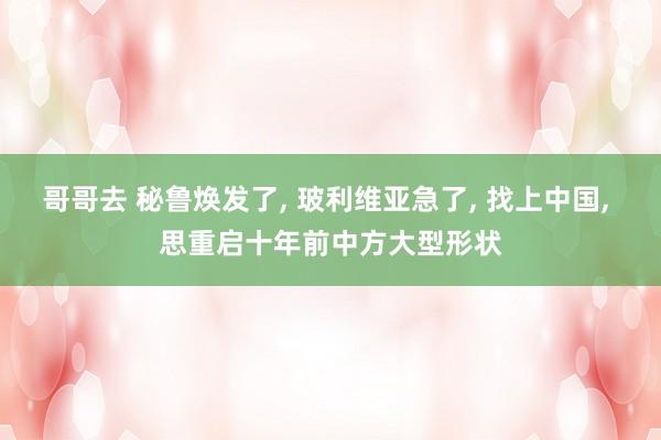 哥哥去 秘鲁焕发了， 玻利维亚急了， 找上中国， 思重启十年前中方大型形状