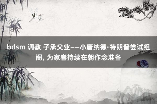 bdsm 调教 子承父业——小唐纳德·特朗普尝试组阁， 为家眷持续在朝作念准备