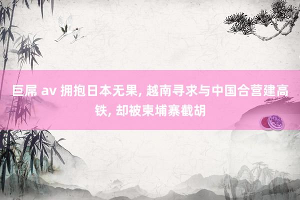 巨屌 av 拥抱日本无果， 越南寻求与中国合营建高铁， 却被柬埔寨截胡