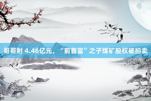 哥哥射 4.46亿元，“前首富”之子煤矿股权被拍卖