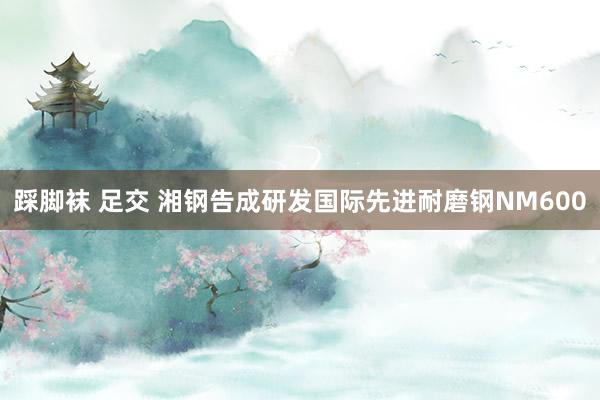 踩脚袜 足交 湘钢告成研发国际先进耐磨钢NM600